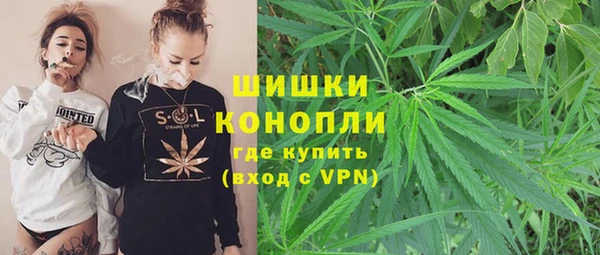 гашик Анива