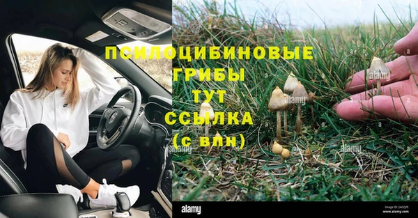 jwh Михайлов