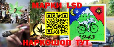 стафф Бугуруслан