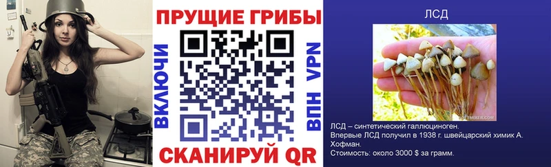 наркотики  blacksprut ТОР  Галлюциногенные грибы MAGIC MUSHROOMS  Чайковский 