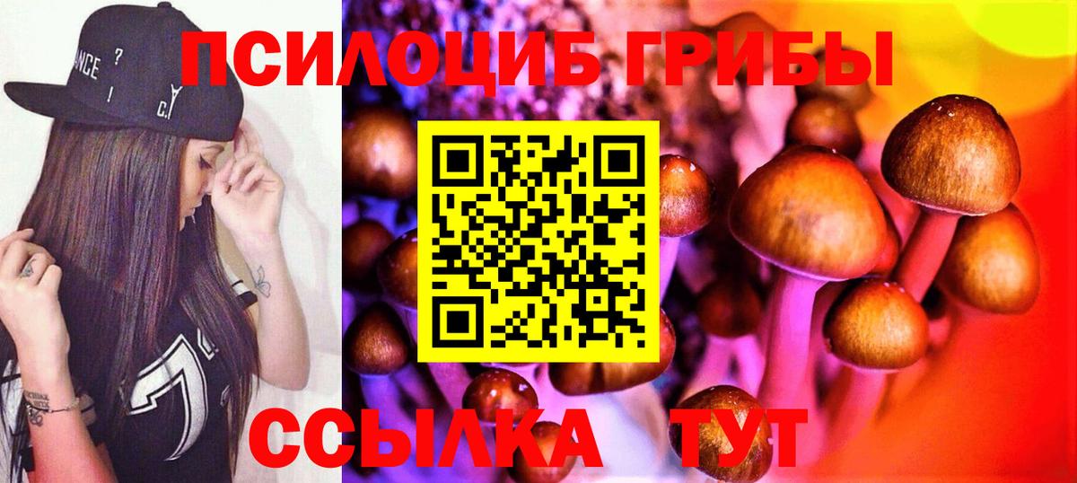 Псилоцибиновые грибы Magic Shrooms  как найти закладки  Чайковский 
