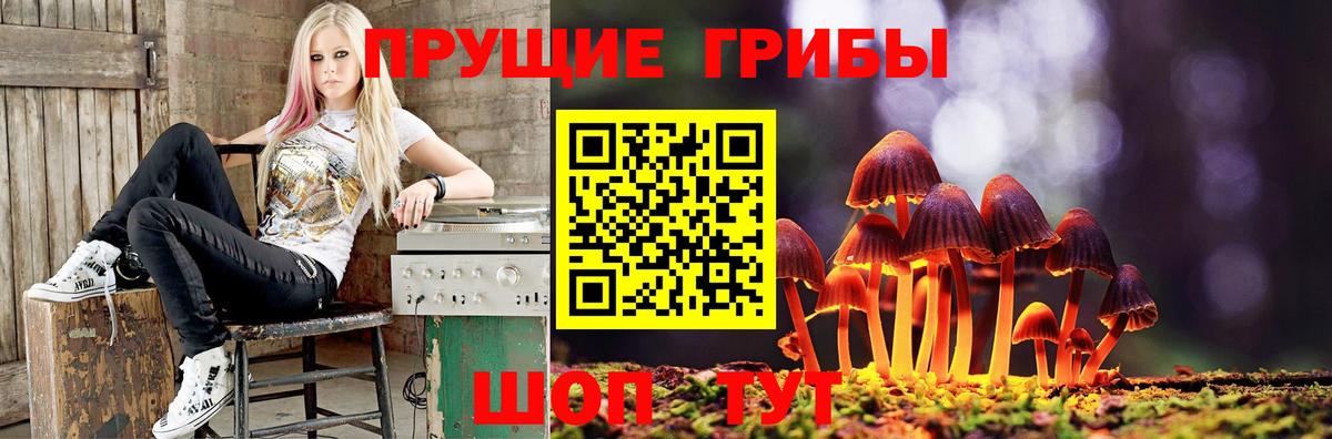 Псилоцибиновые грибы Magic Shrooms  Псилоцибиновые грибы GOLDEN TEACHER  Вход с VPN  где купить наркоту  Чайковский 